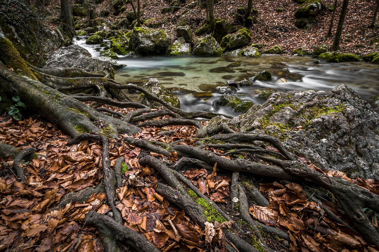 Image - water bach river waterfall nature