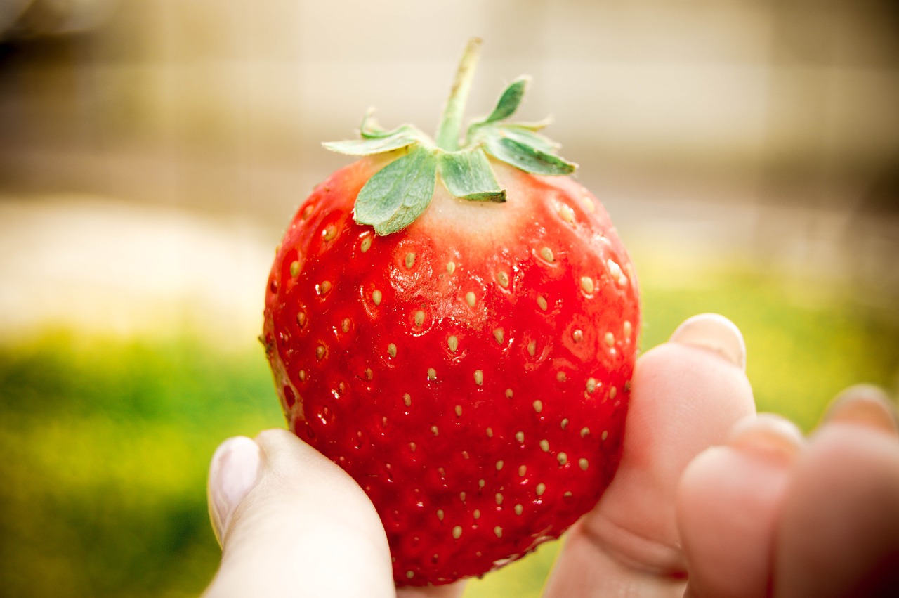 Image - strawberry nature fruit hand hold