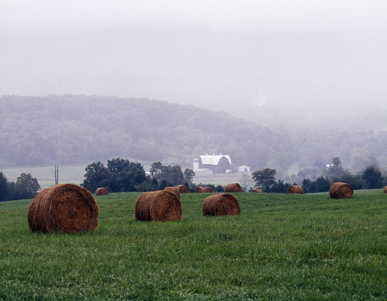 Image - mist shenandoah valley rural hay