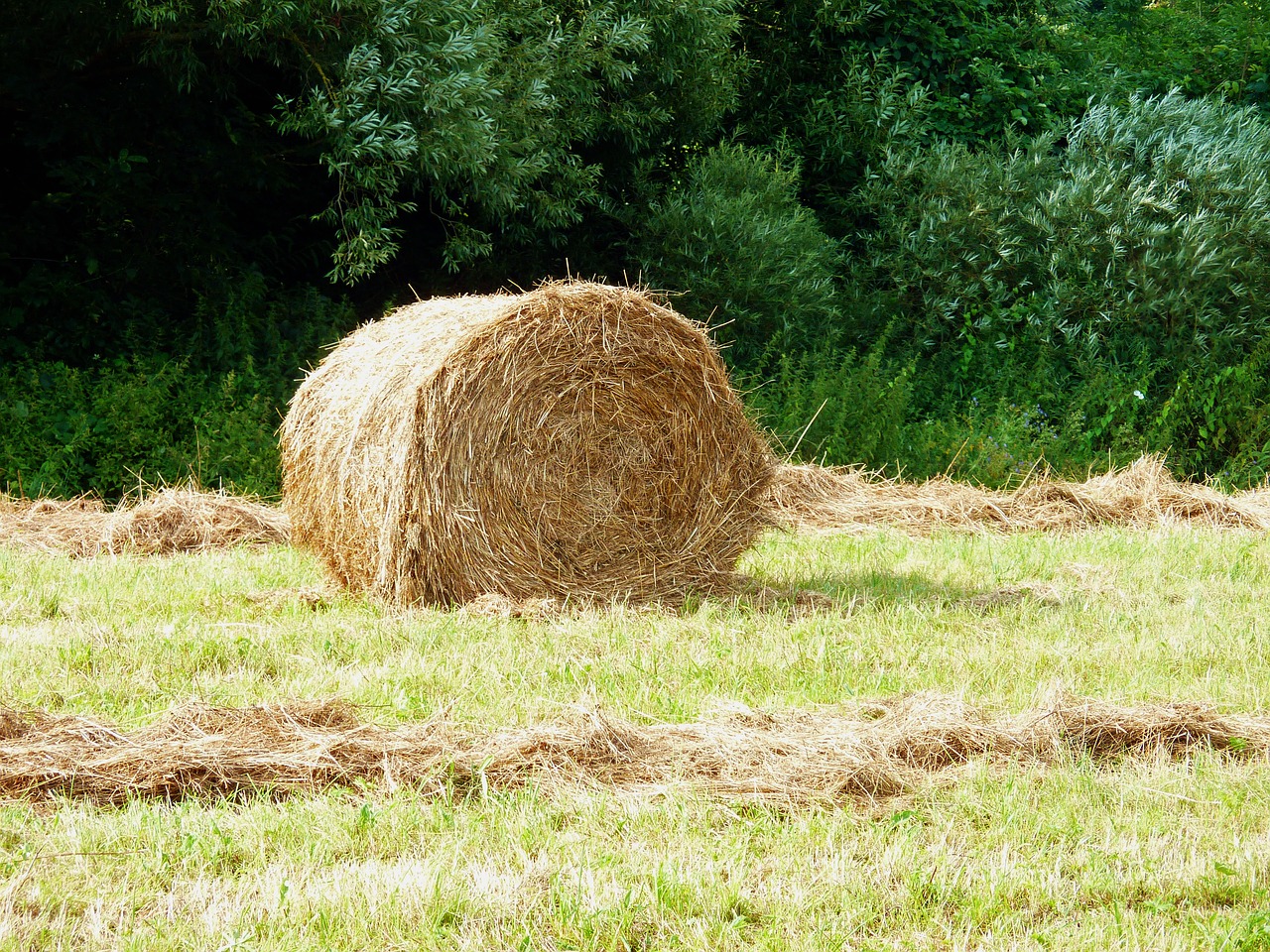 Image - harvested arable agriculture