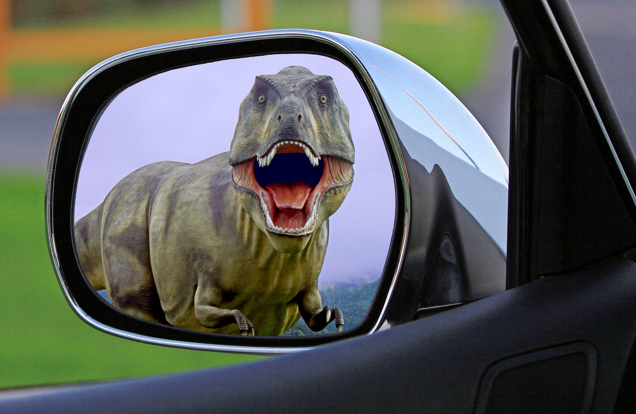 Image - dinosaur mirror wing mirror behind