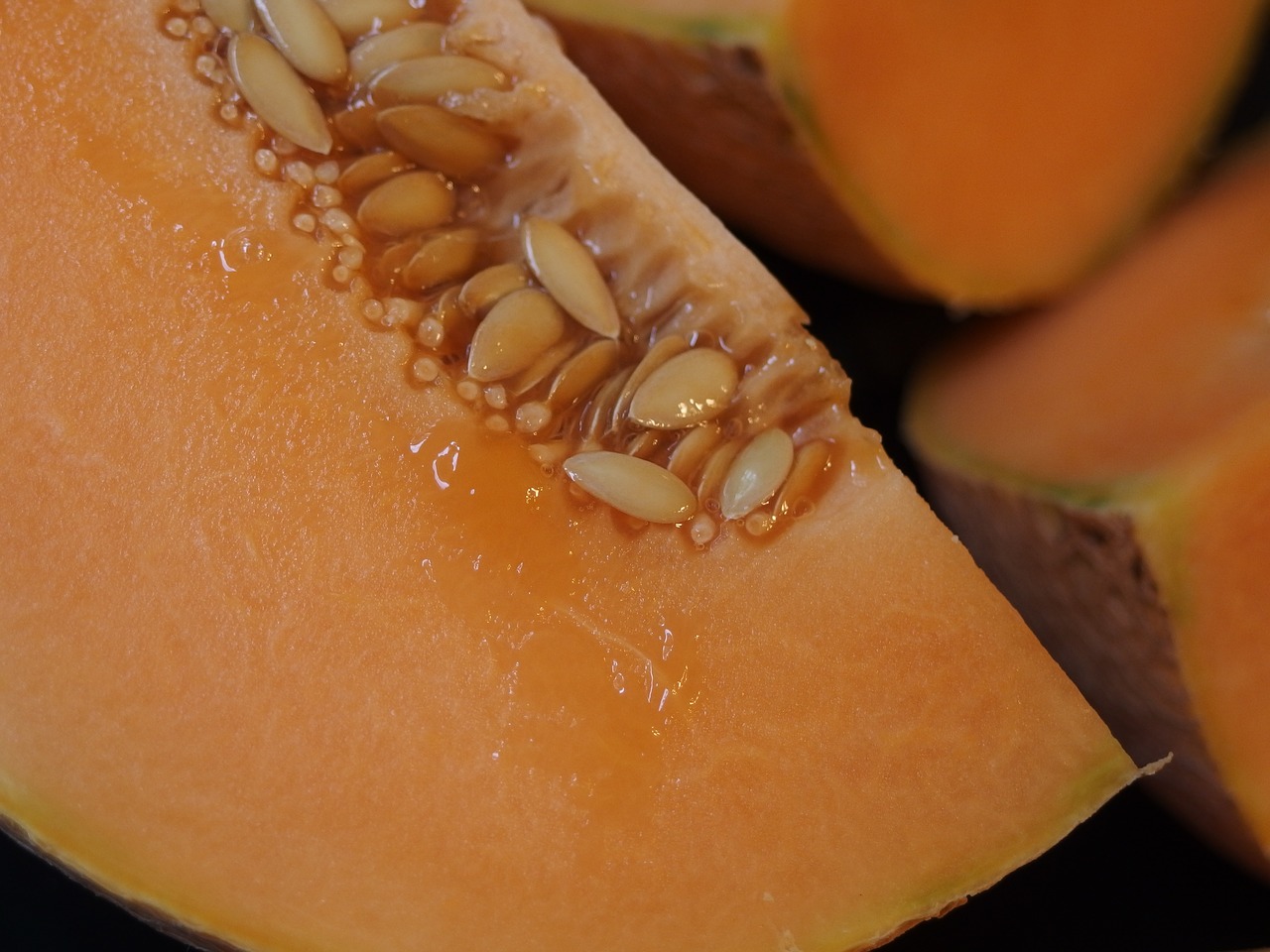 Image - melon cantaloupe orange fruit