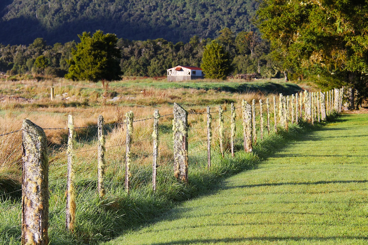 Image - greenery scenery green tree field