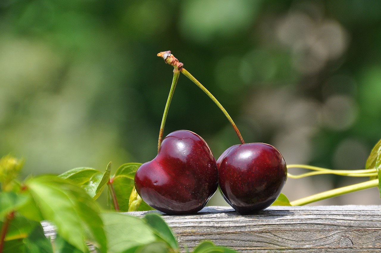 Image - cherry pair fruits sweet food