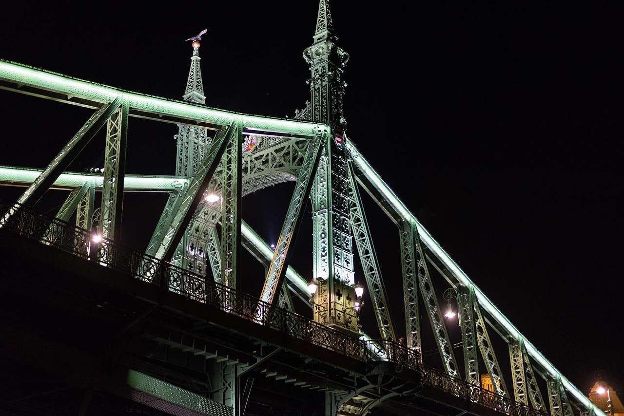 Image - liberty bridge danube river