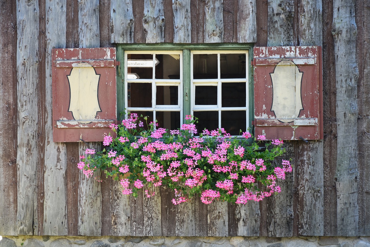 Image - window window sill flowers shutters