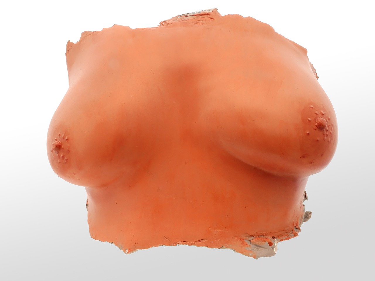 Image - bust gypsum statue chalk figure