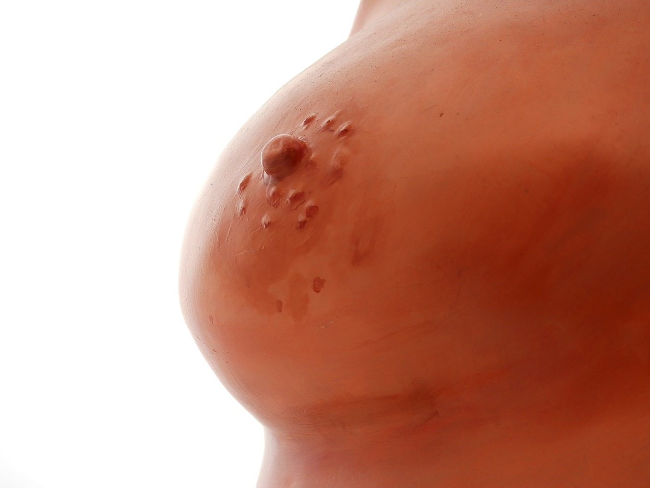 Image - bust gypsum statue chalk figure