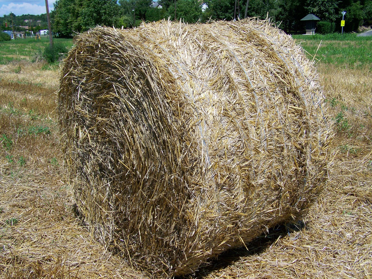 Image - straw bale potential gabonaszár