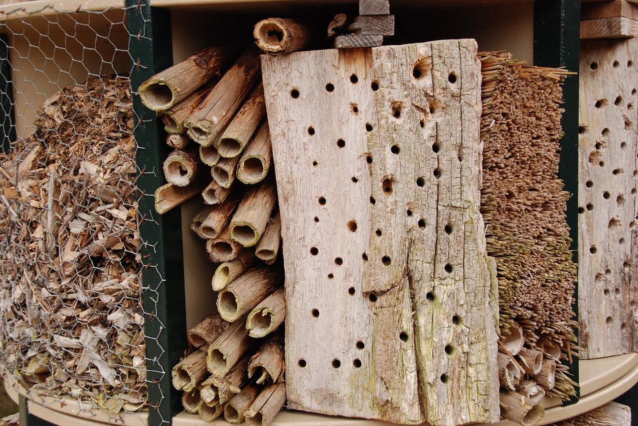 Image - bug insects hotel hotel nature