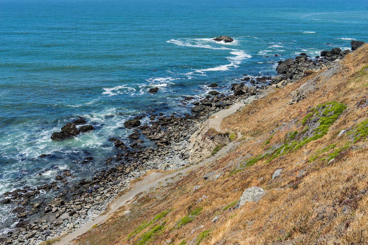 Image - seashore walk path summer pacific