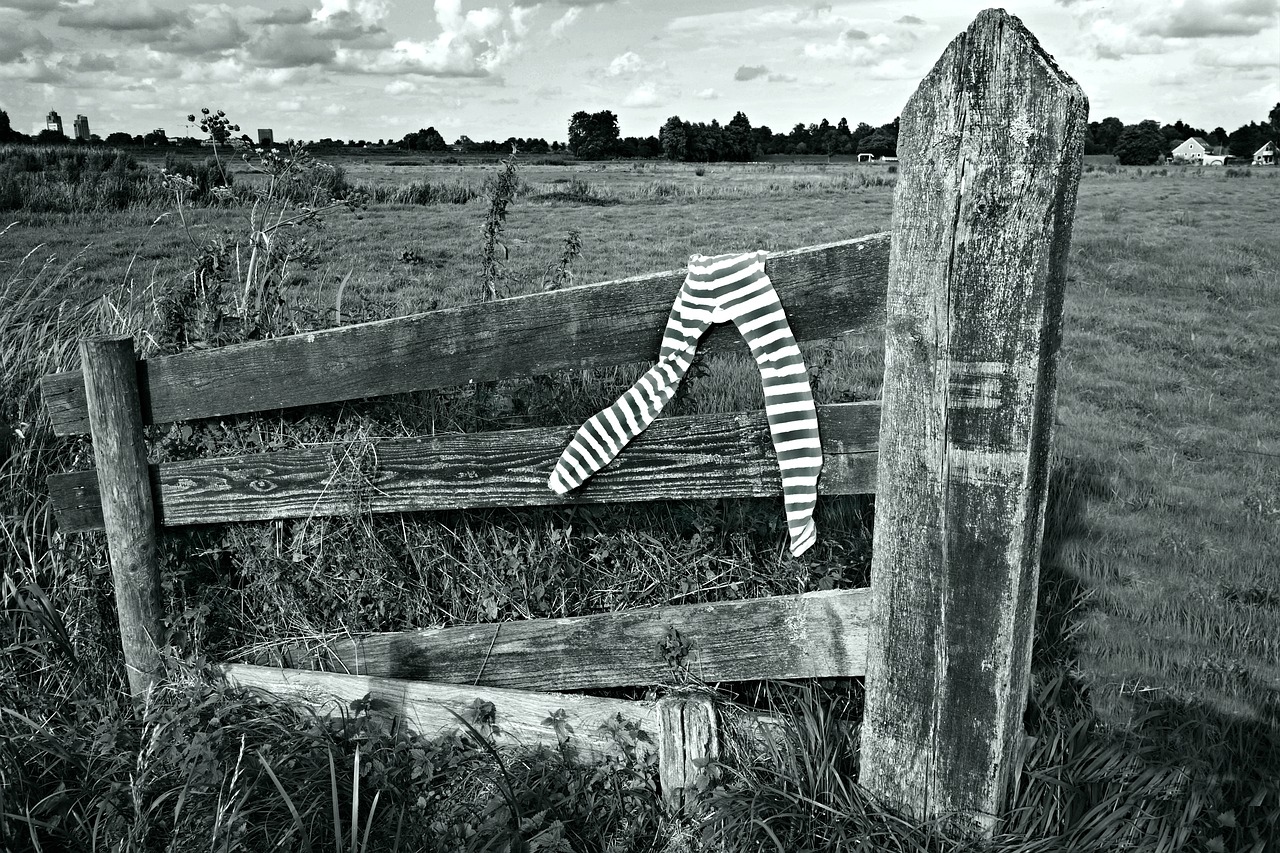 Image - tights leg wear pantyhose clothing