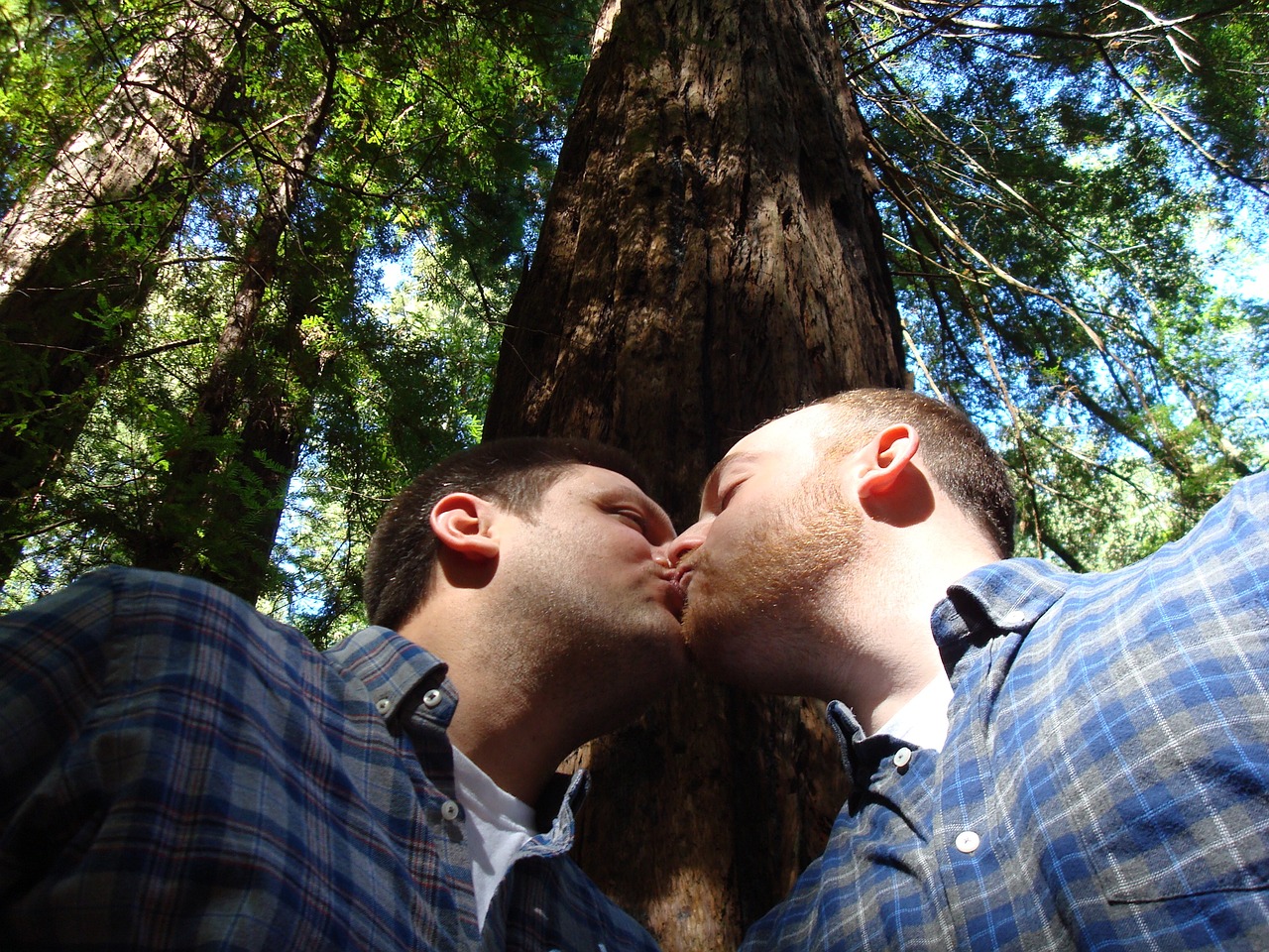 Image - gay marriage love kiss nature