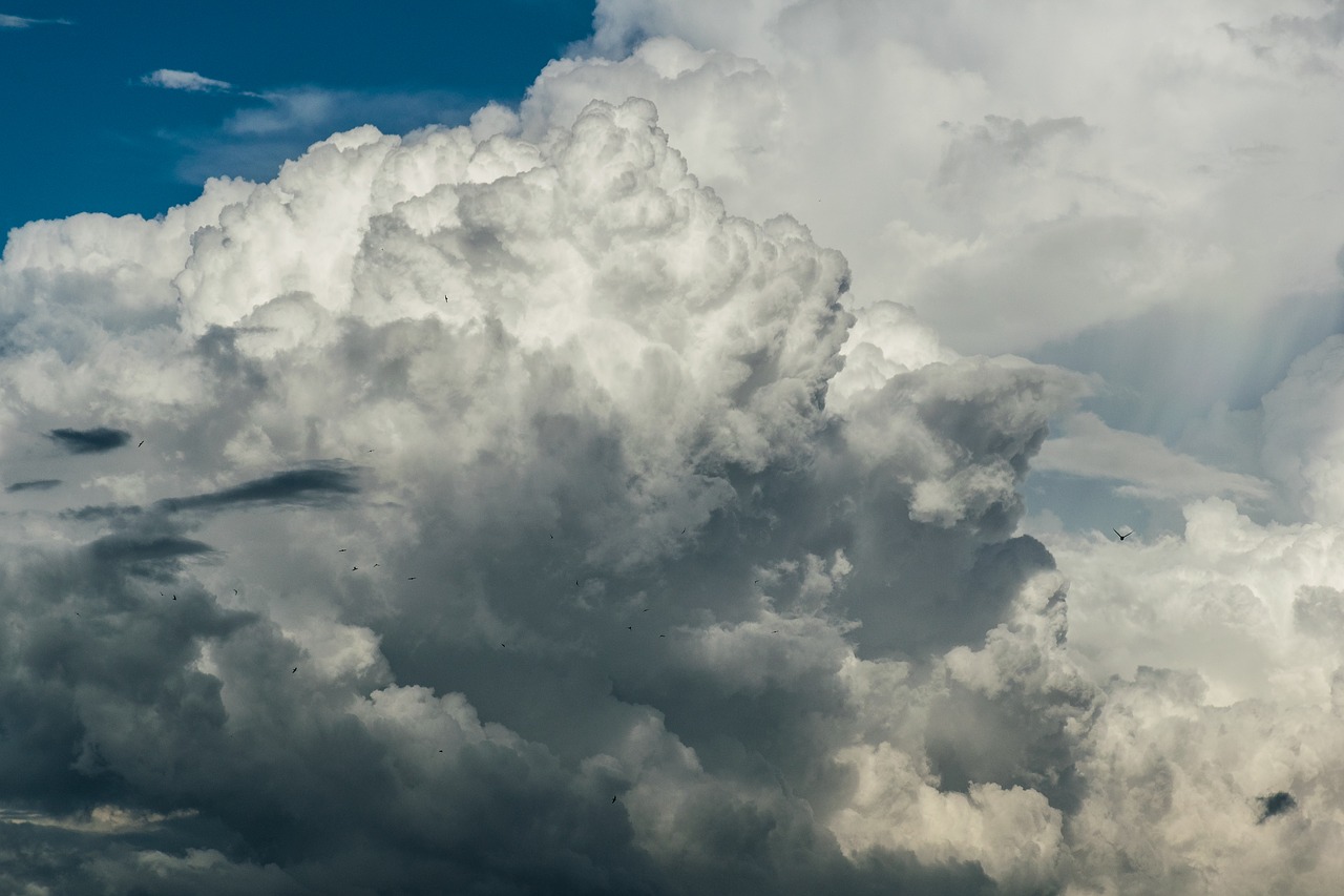 Image - clouds cloudporn weather lookup