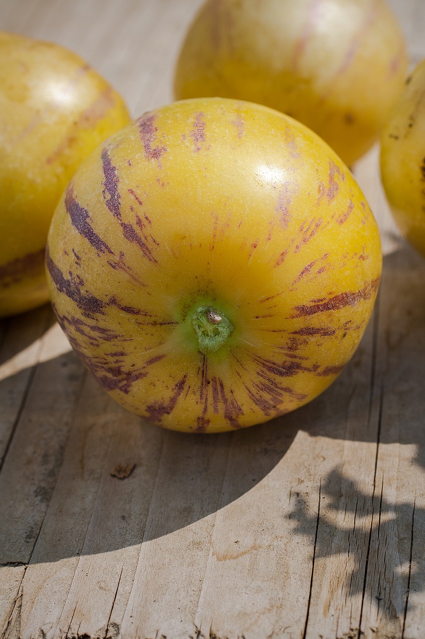 Image - farmer melons farming harvest