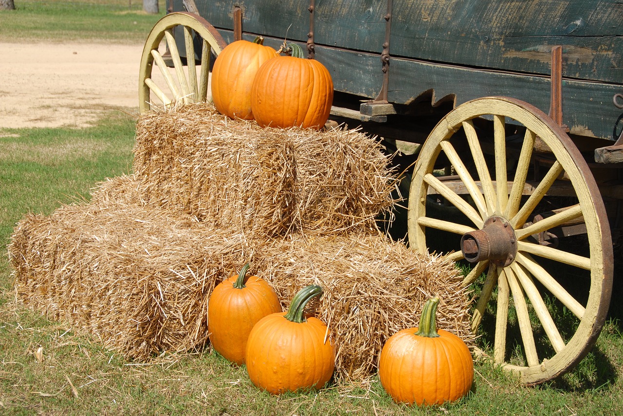 Image - pumpkins wagon farm halloween fall