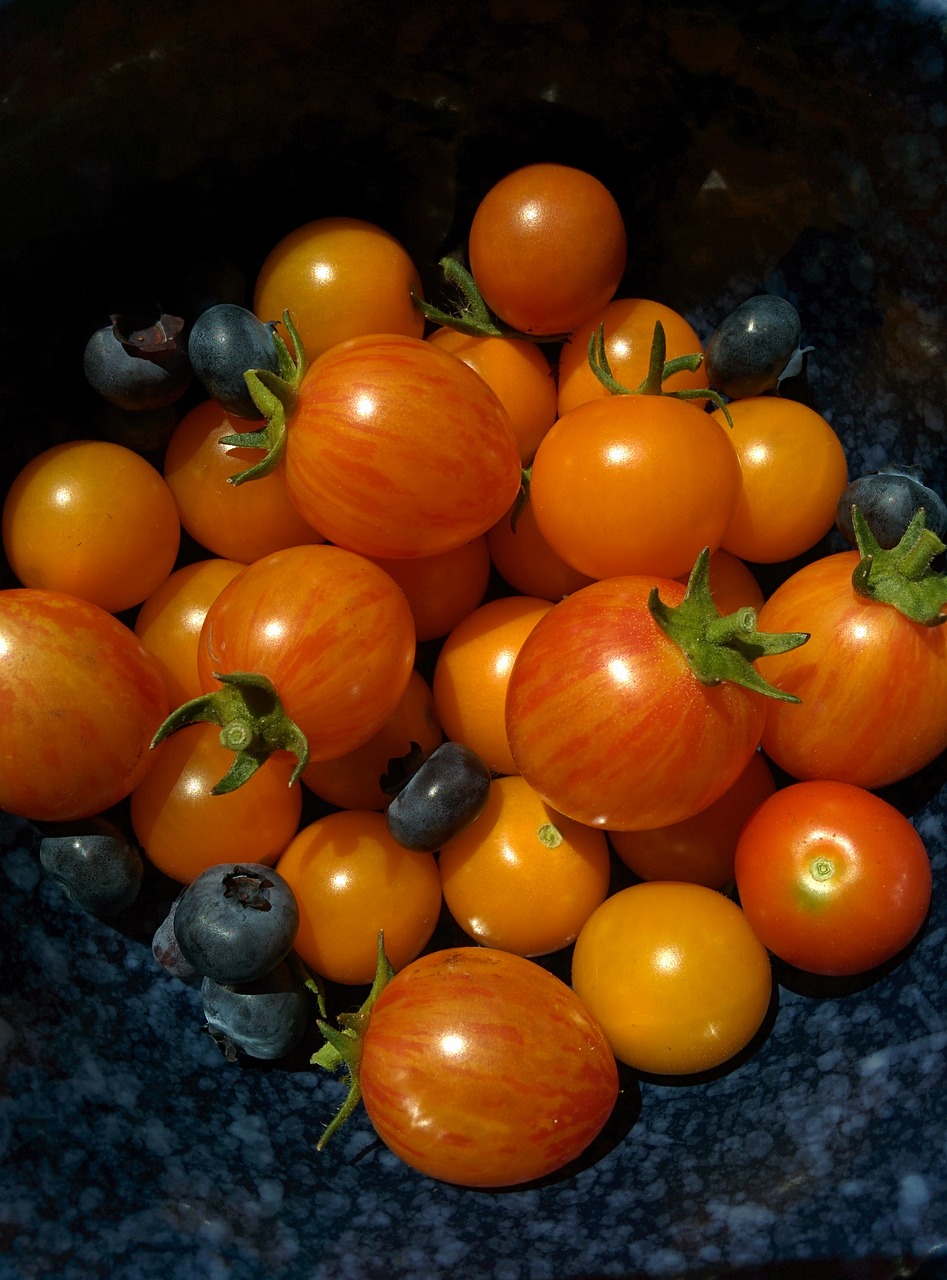 Image - tomatoes vegetable garden homegrown