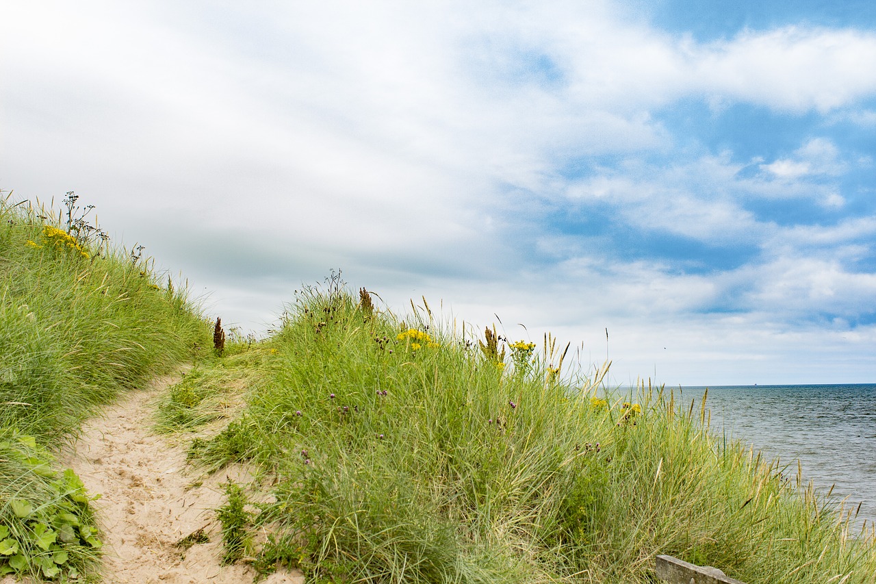 Image - aberdeen sun grass ocean sky sea