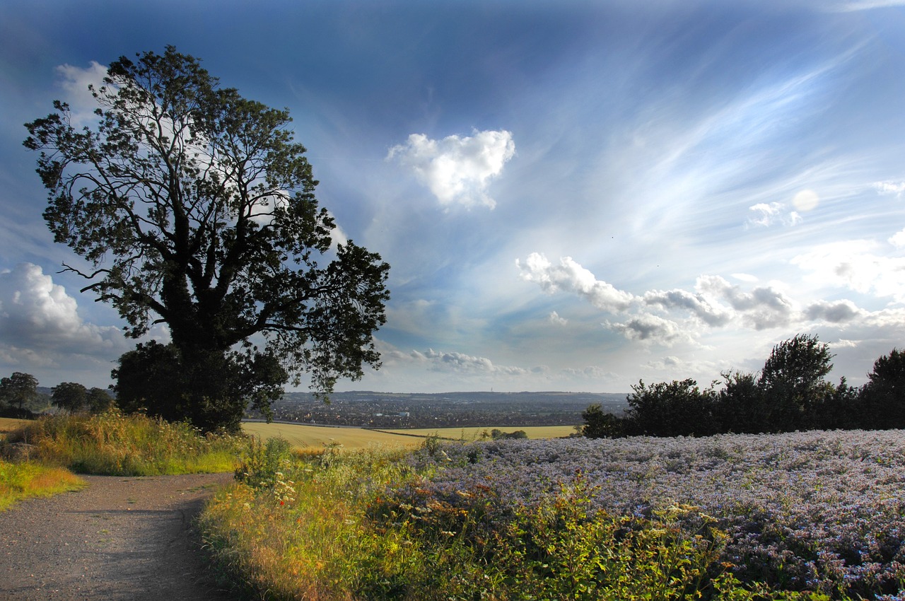 Image - landscape fields luton england