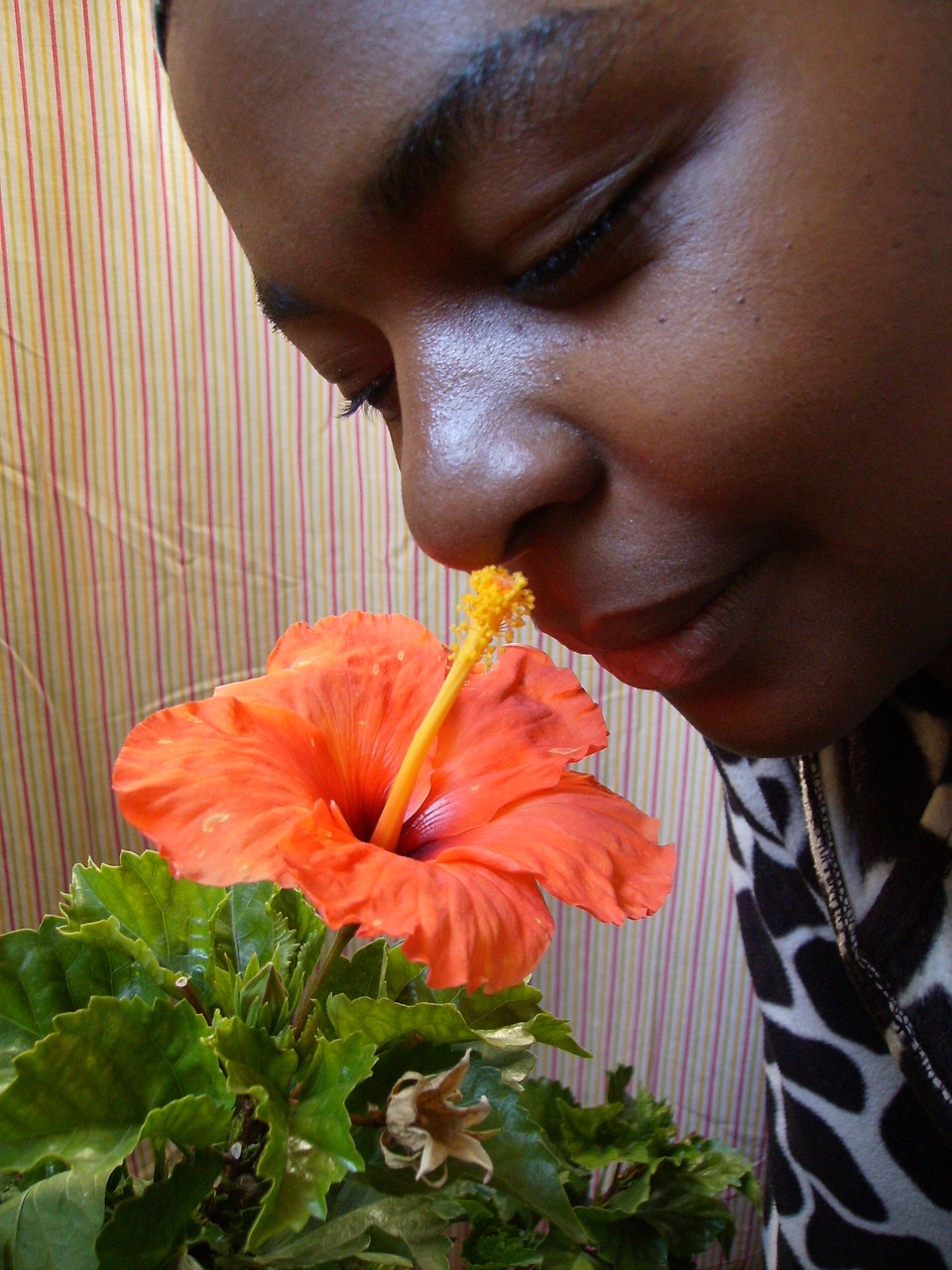 Image - ebony woman flower