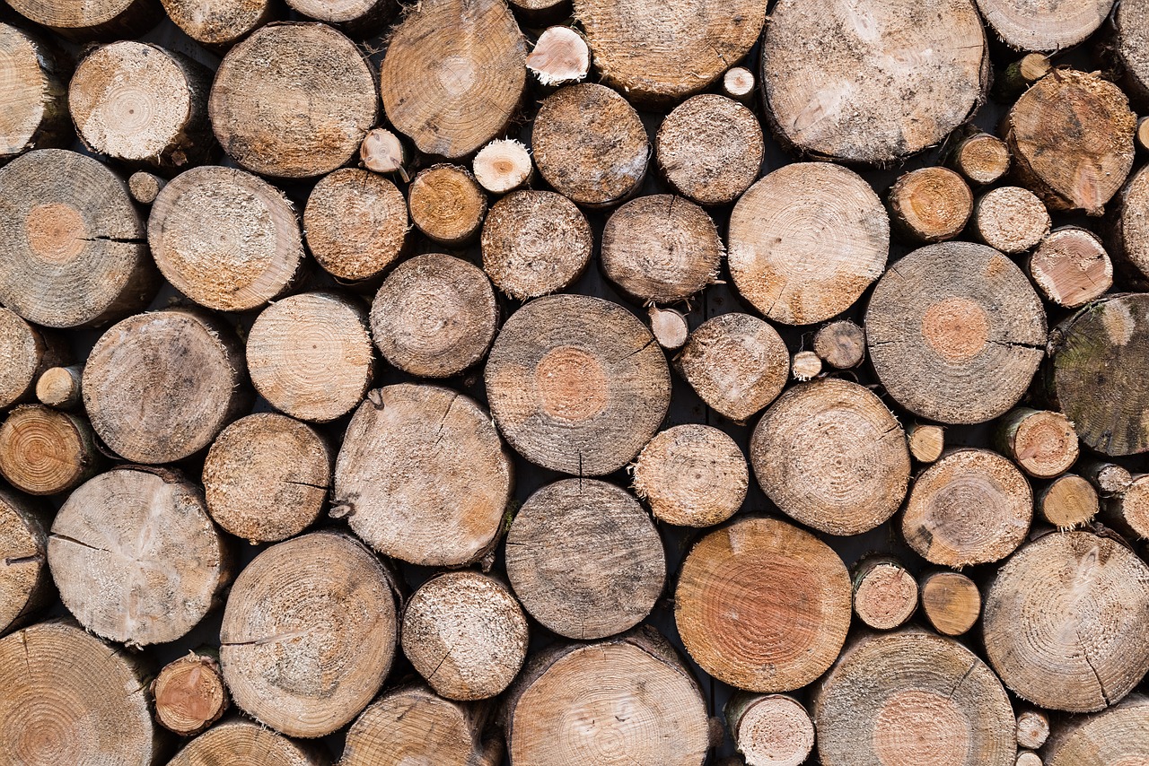 Image - texture wood trunks decoration