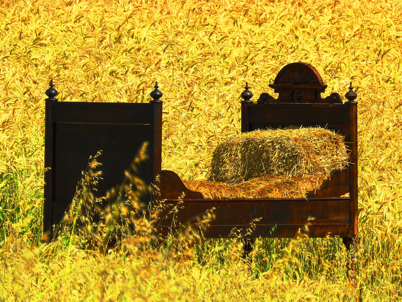 Image - bed cornfield sleep