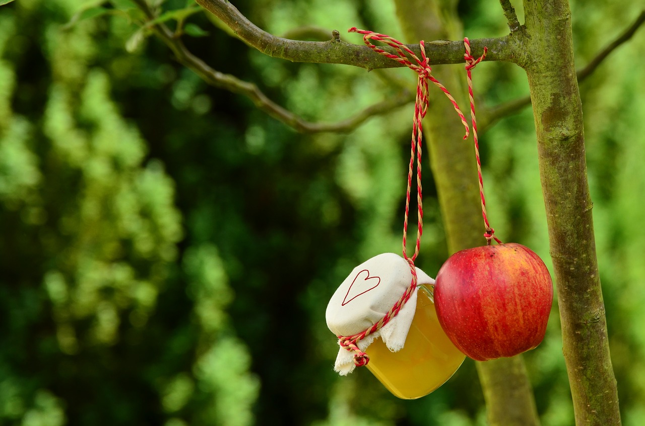 Image - apple tree apple apple compote jar