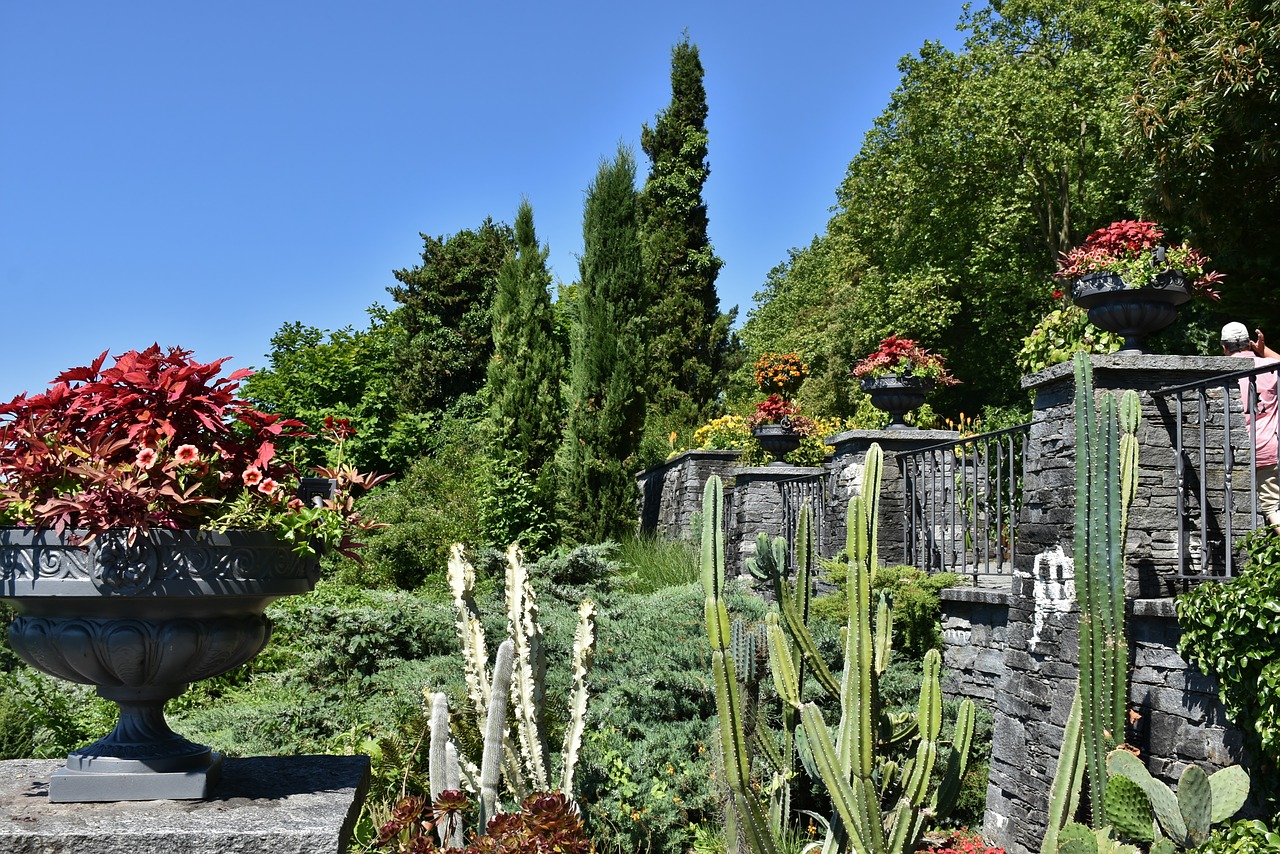 Image - mainau island lake constance lake