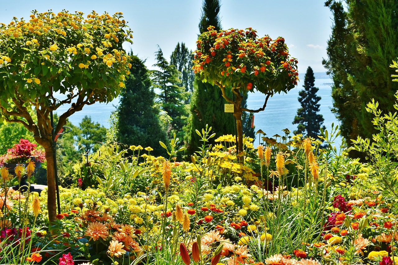 Image - mainau island lake constance lake