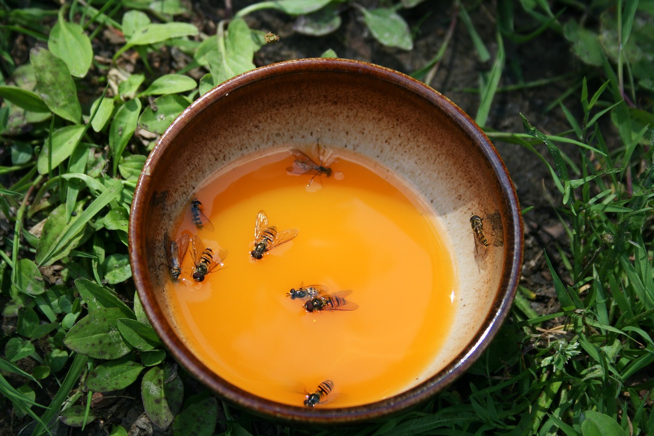 Image - cup juice fly death swim bees