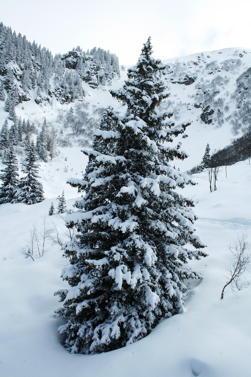 Image - french speaking switzerland snow