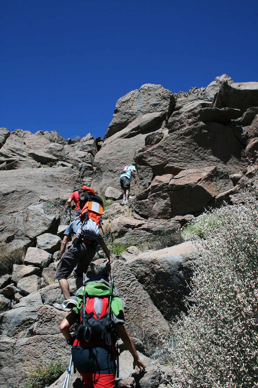 Image - canary islands teide national park