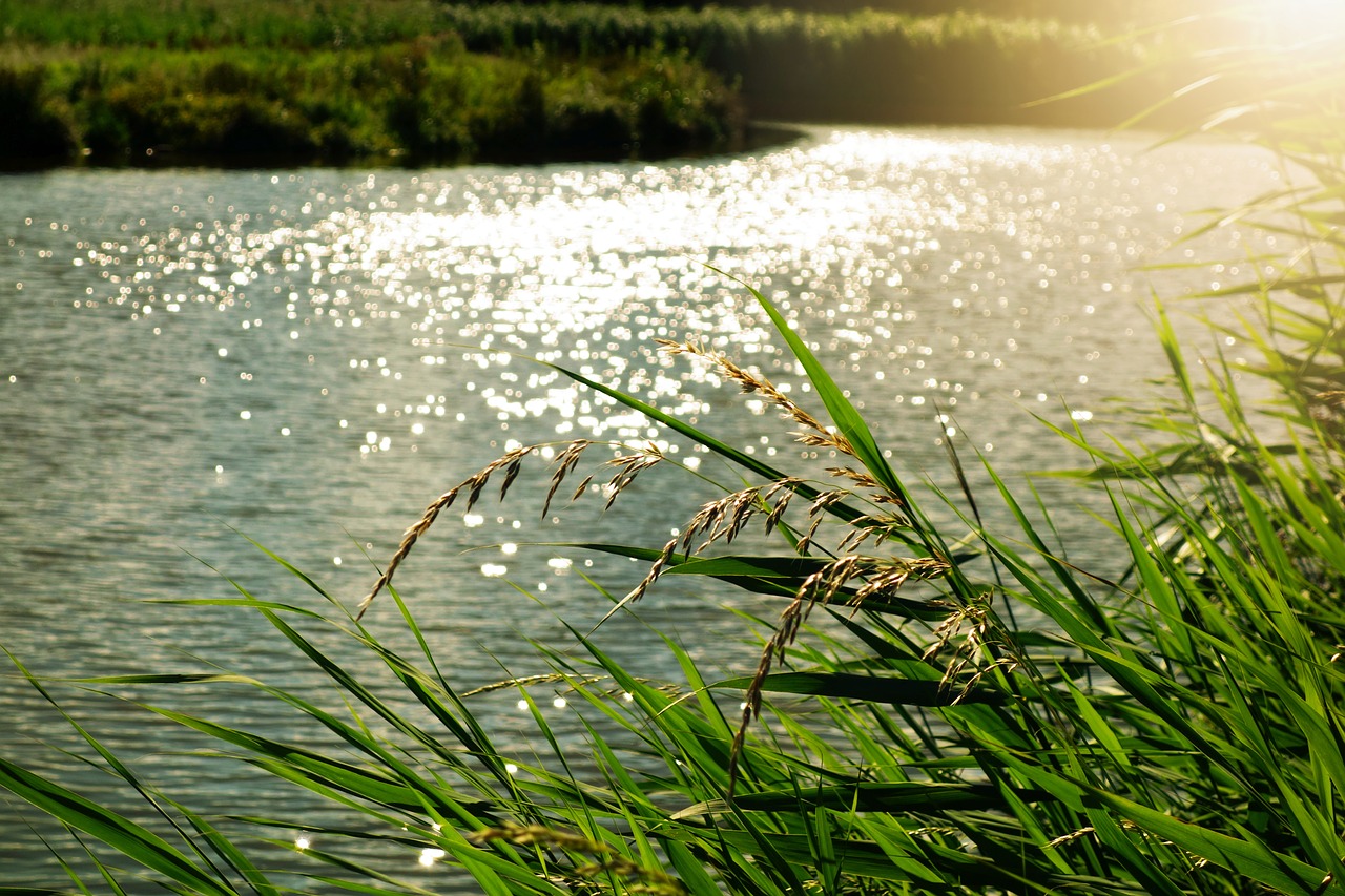 Image - glitter sparkle sunlight water