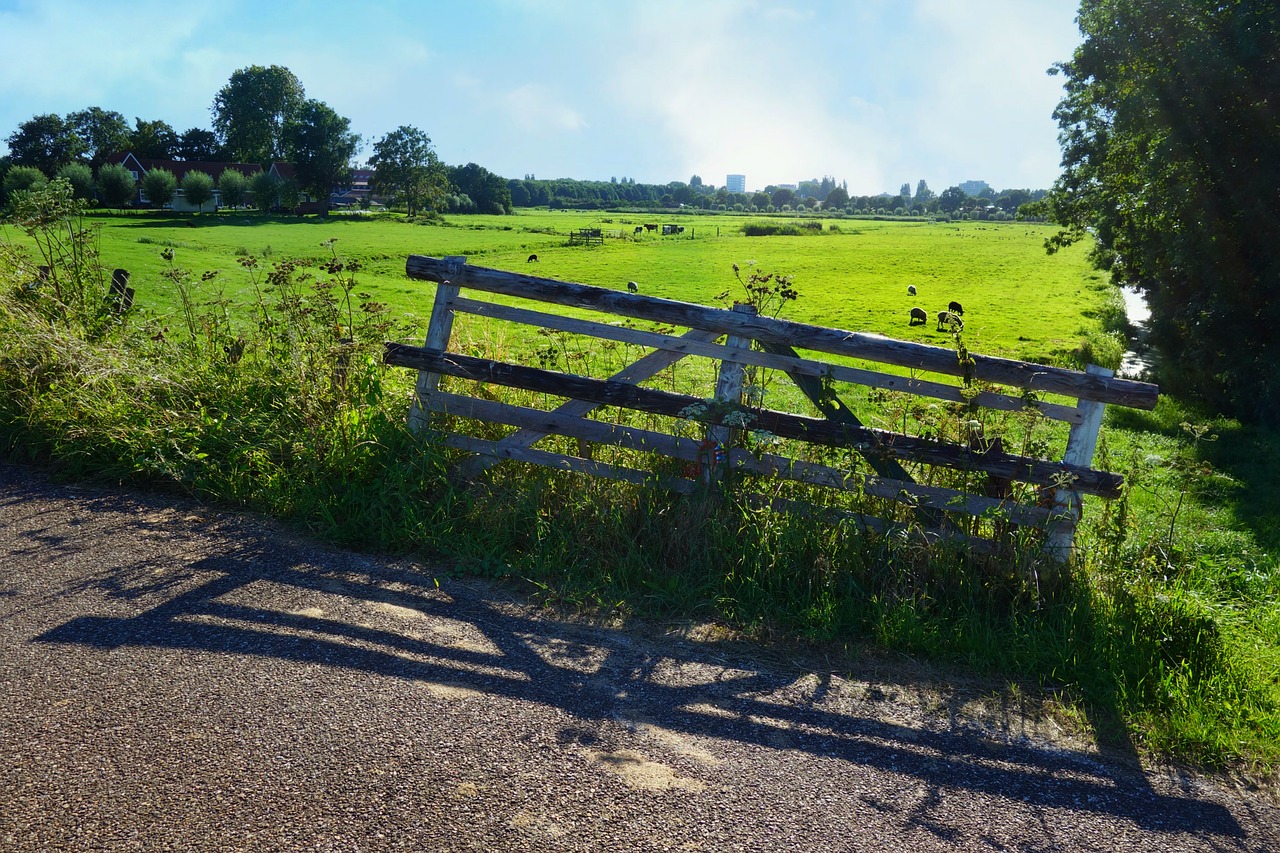 Image - landscape polder rural