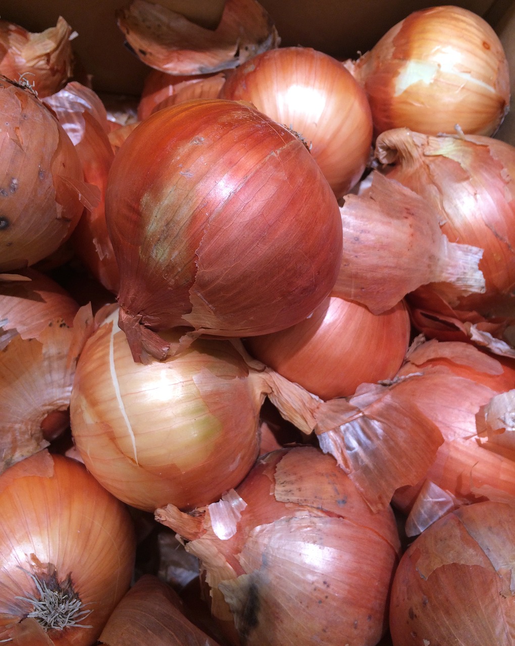 Image - onions seiyu ltd living supermarket