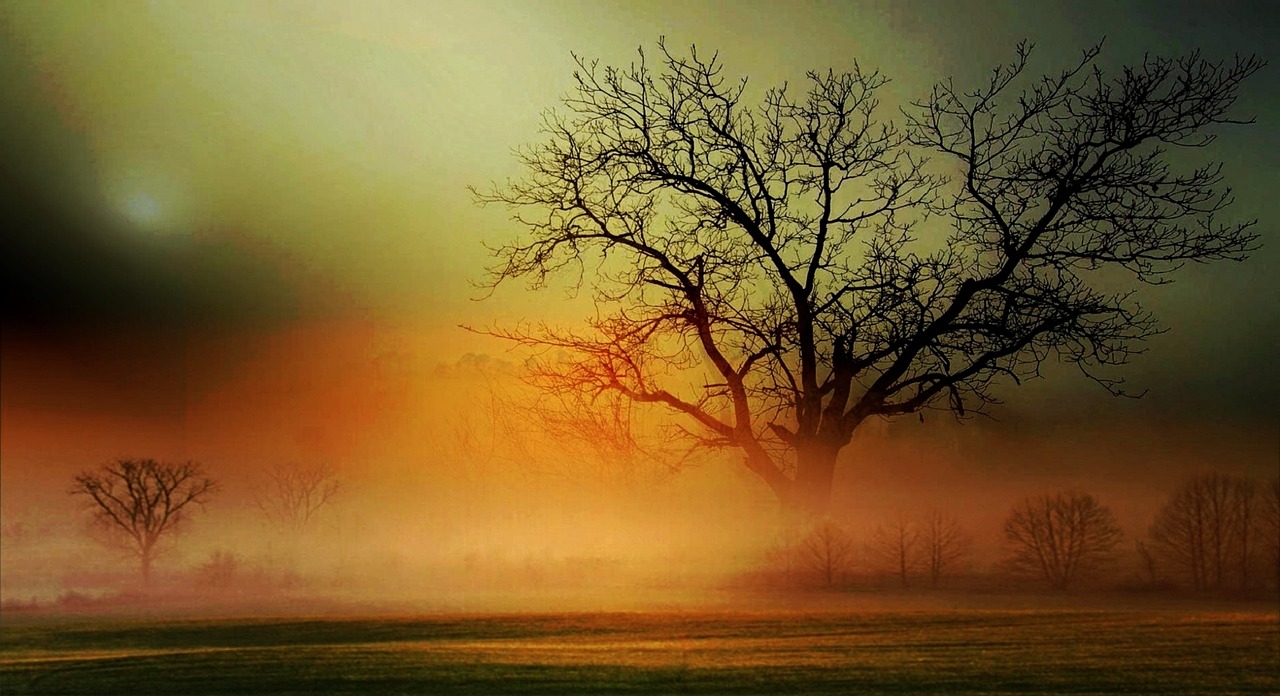 Image - landscape fog scenic colorful sky