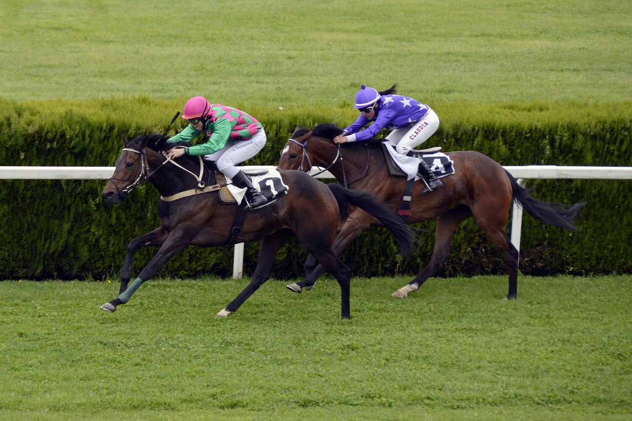Image - horse racing racecourse competition