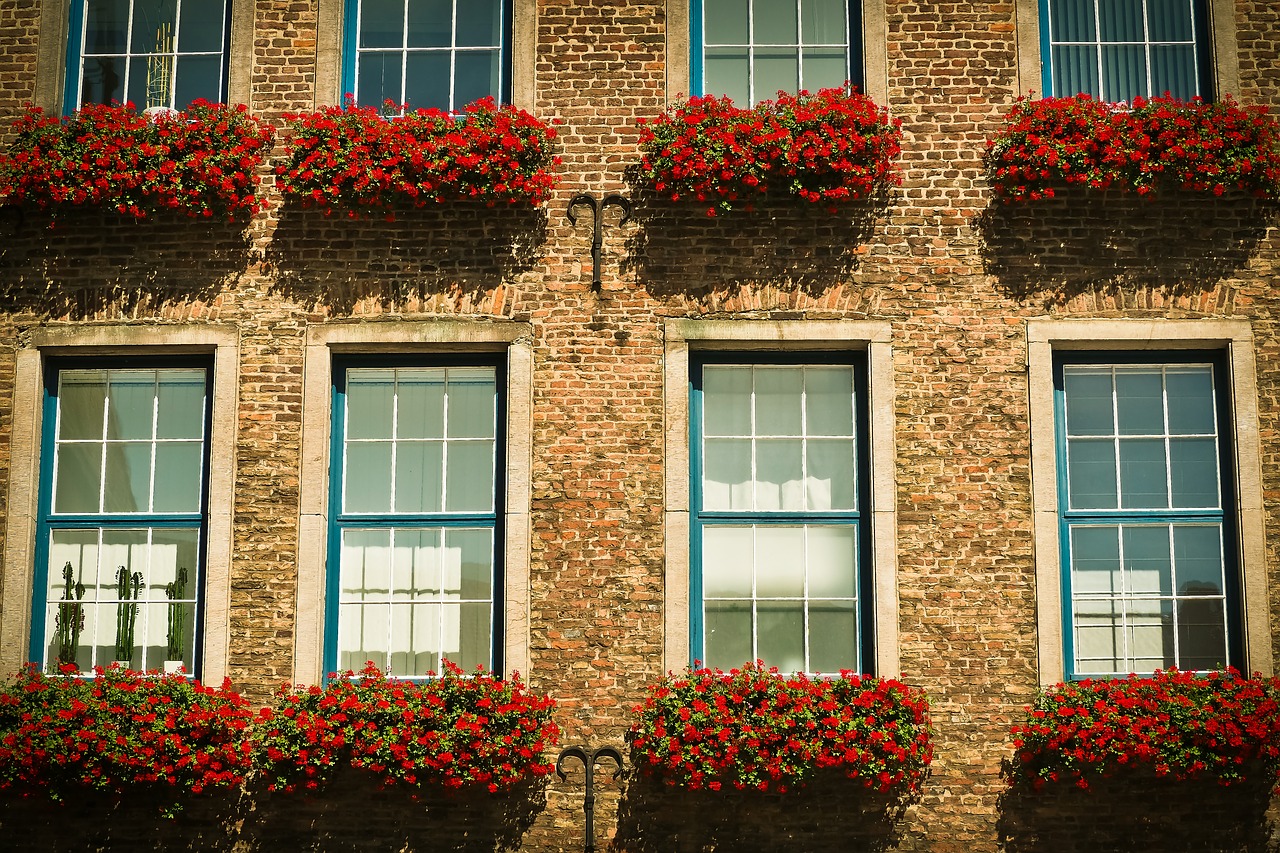 Image - architecture window facade