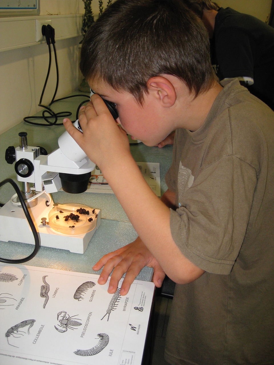 Image - children activities microscope