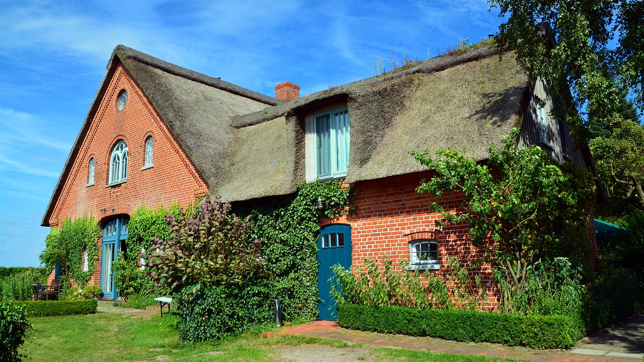 Image - thatched cottage rural reed sky