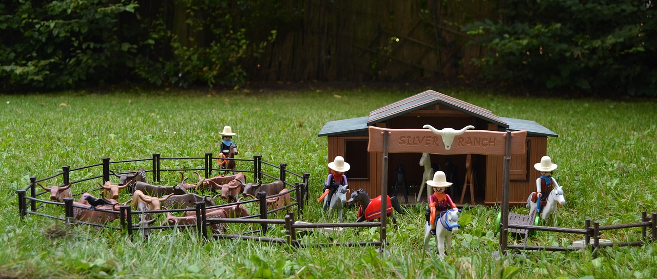 Image - playmobil western usa america