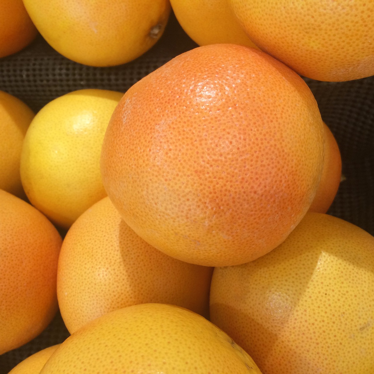 Image - grapefruit import california fruit