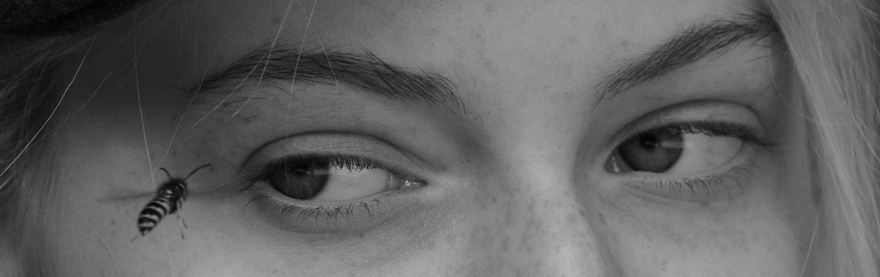 Image - woman wasp eyes face