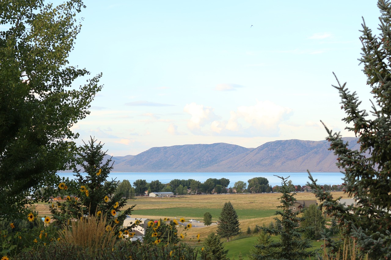 Image - mountains view trees nature