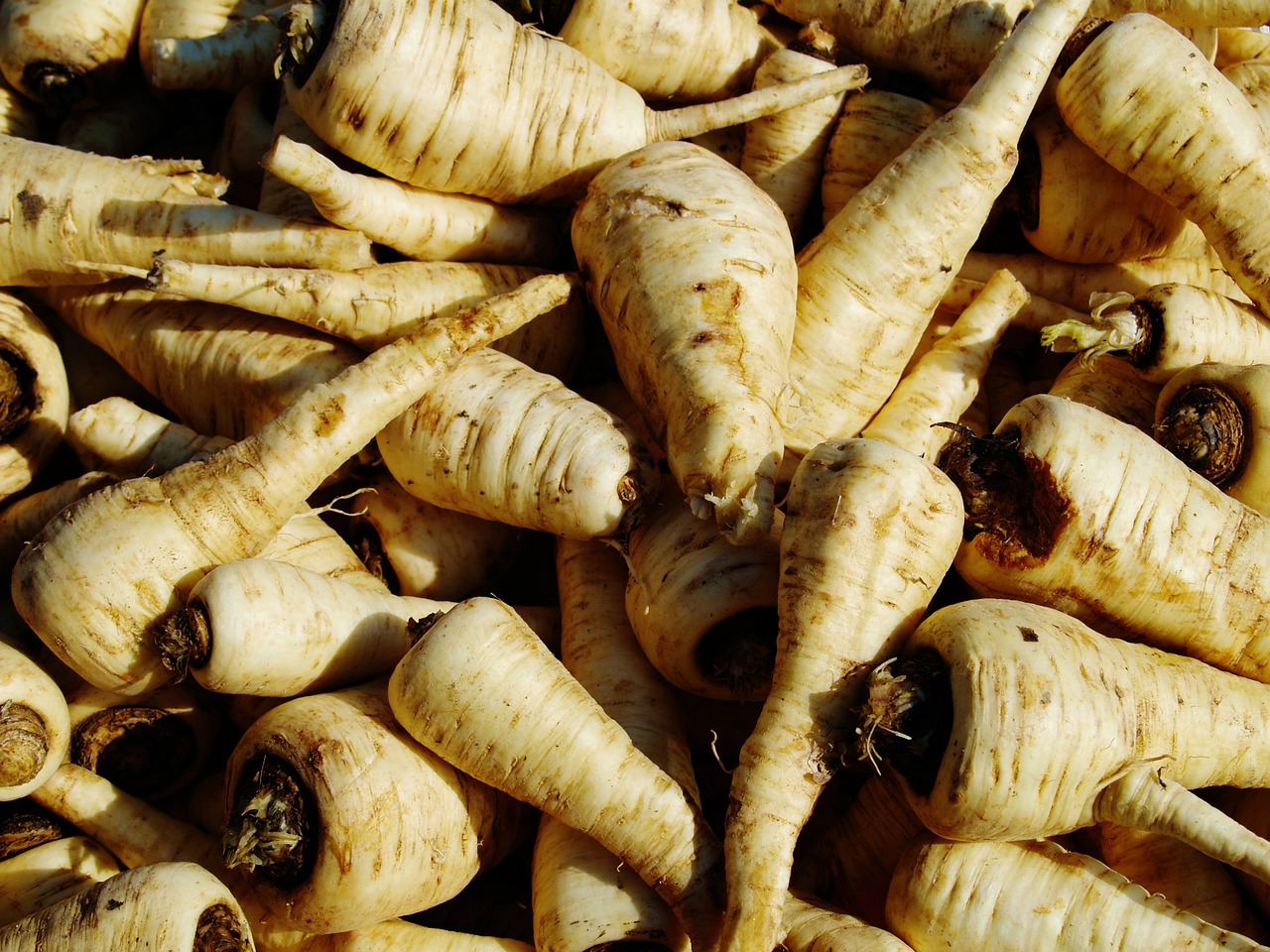 Image - root vegetable food fresh organic