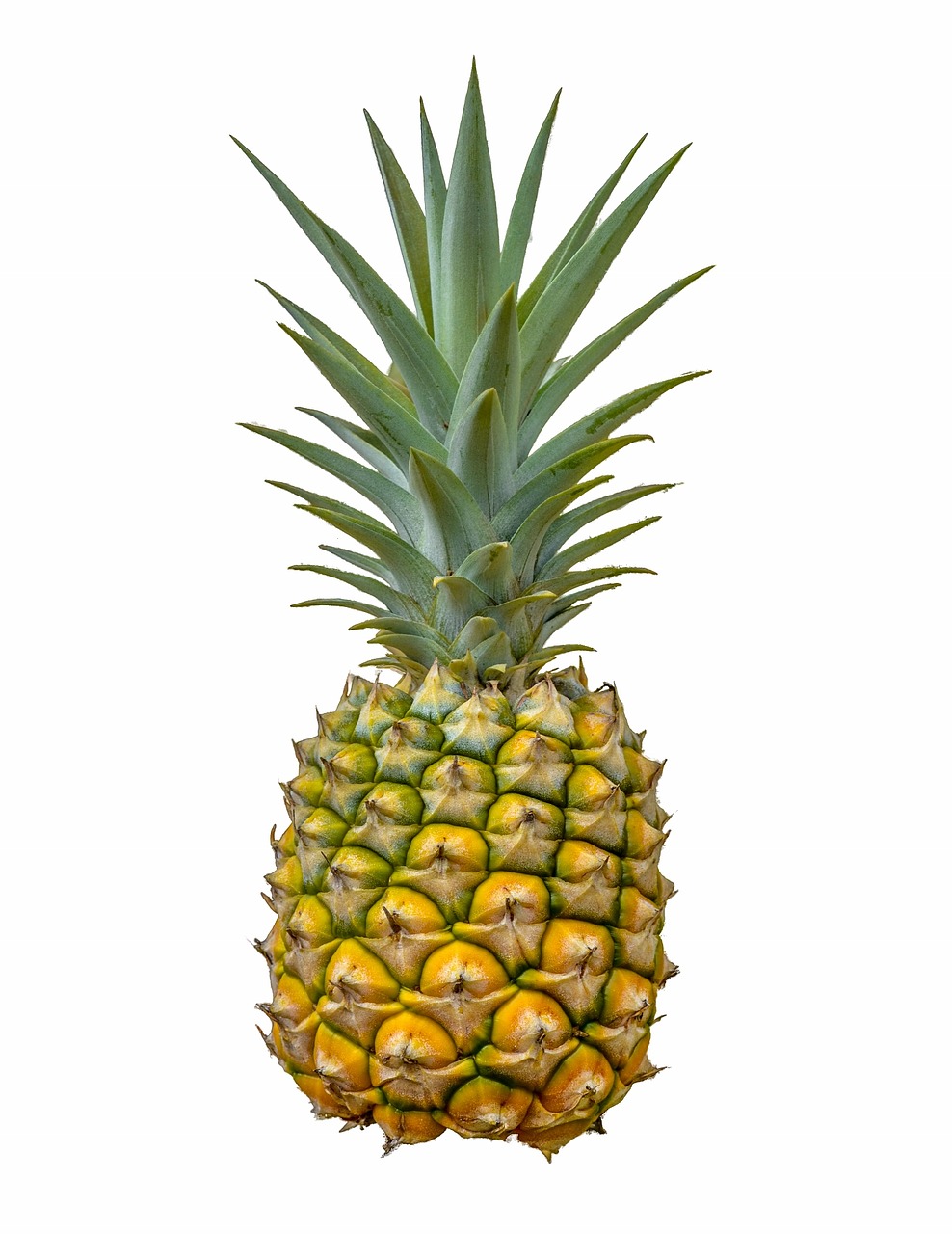 Image - pineapple fruit white background