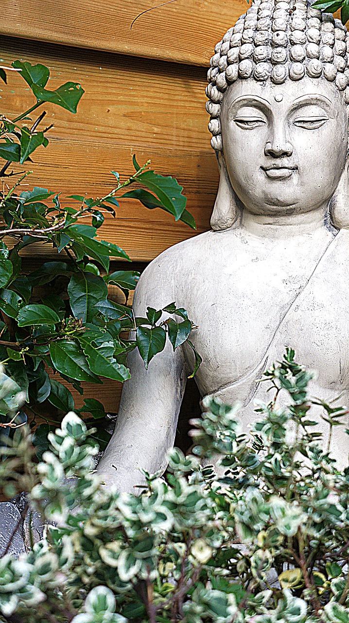 Image - buddha buddha statue garden