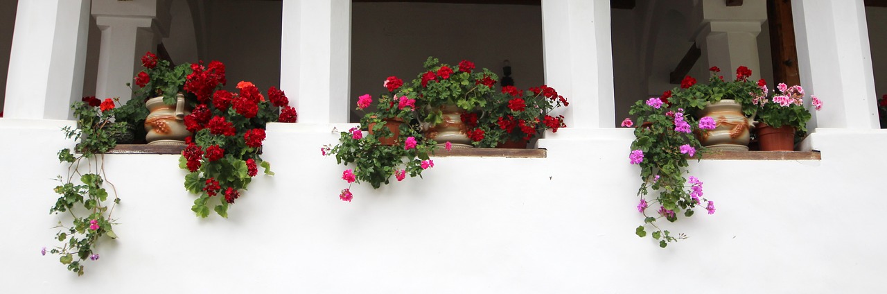 Image - flowers pots window rustic