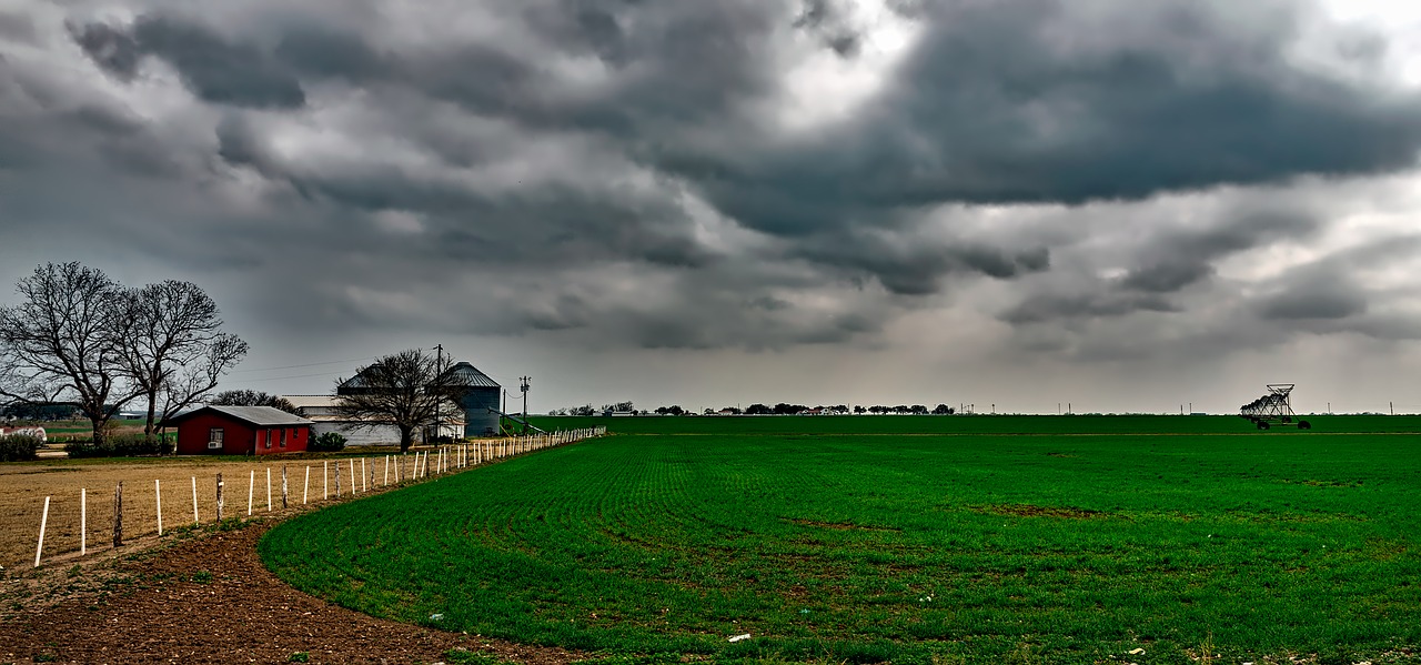 Image - texas farm ranch field crop