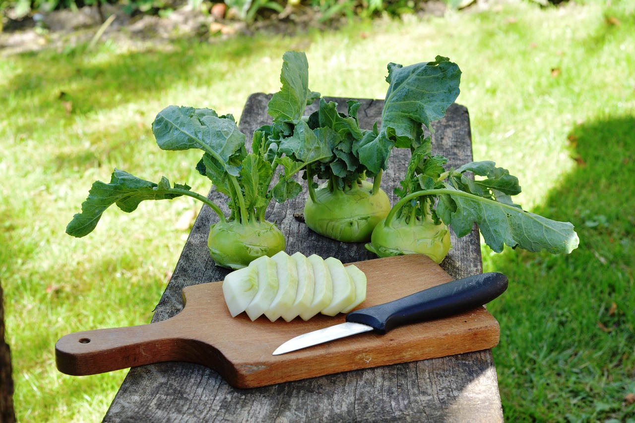 Image - chinese cabbage   kohlrabi kalarepka